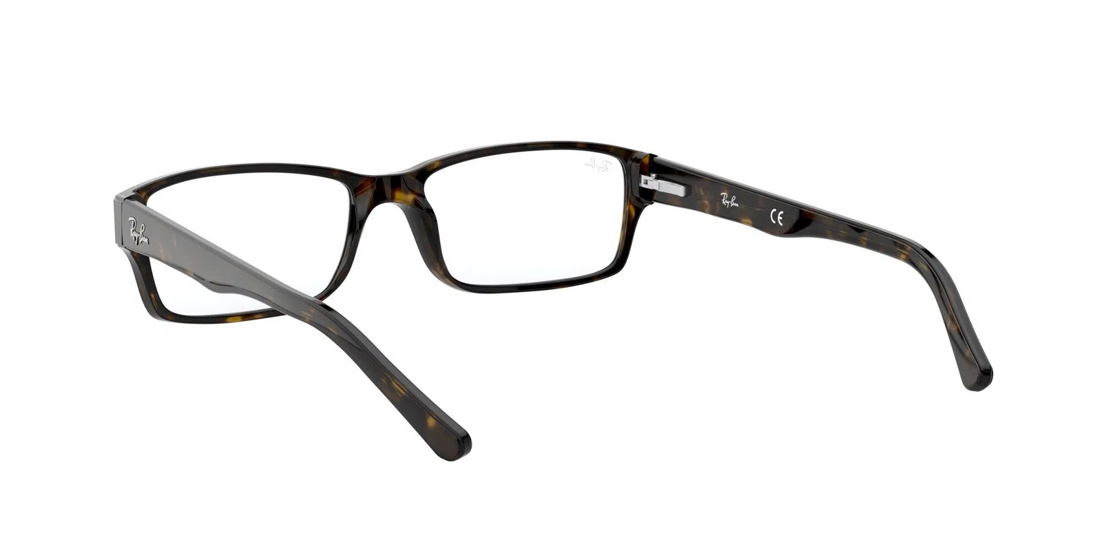 Ray-Ban 5169 Eyeglasses - view 77